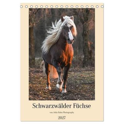 Schwarzwälder Füchse von Julia Hahn Photography (Tischkalender 2027 DIN A5 hoch), CALVENDO Monatskalender