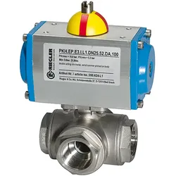 Riegler, Schlauchanschluss + Schlauchverbinder, 350.914-T1 (25 mm)