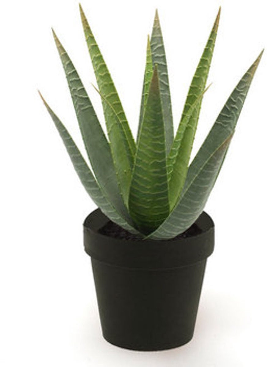 Emerald Aloe Vera kunstplant met pot, 32 cm
