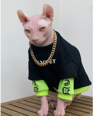 Uplift Essentials Fashion Cotton Winter Sweatshirt For Sphynx & Devon Rex l