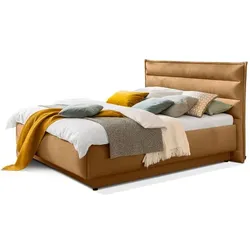 Segmüller Werkstätten Polsterbett Lila Stoff Braun Bronze 200 x cm