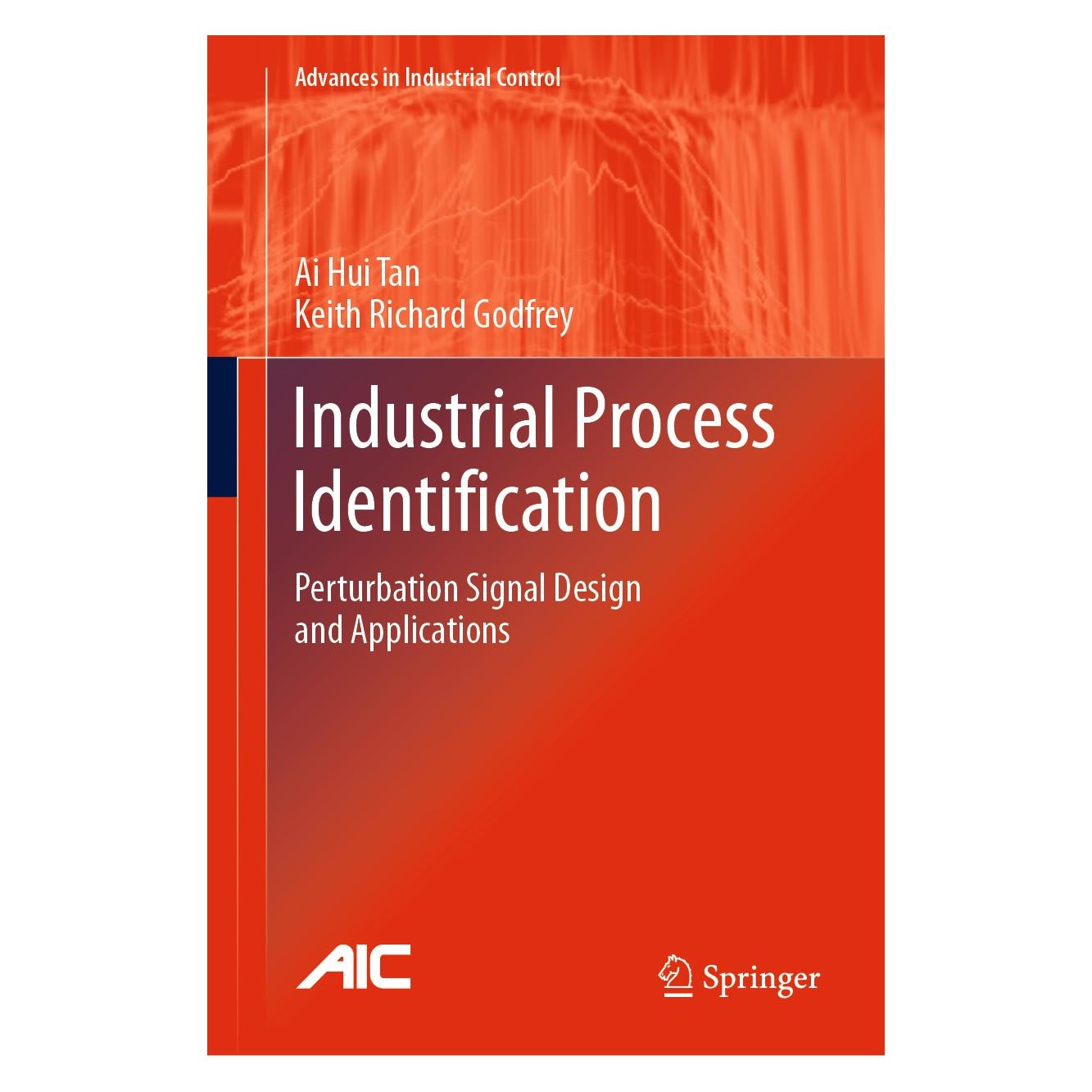 Springer Industrial Process Identification (Englisch, Ai Hui Tan, Keith Richard Godfrey) (9783030036607)