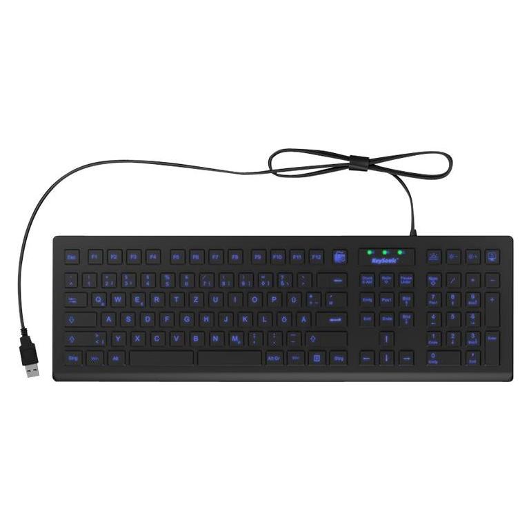 KeySonic Tastatur Full Size Hygiene Industrietastatur für Windows (DE, Kabelgebunden) (60529)
