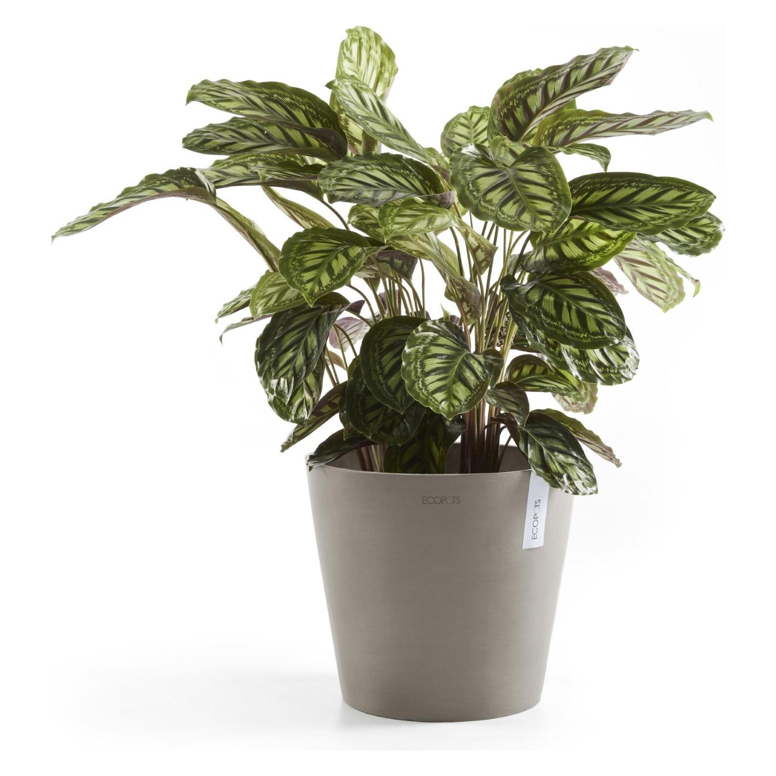 Ecopots Amsterdam (40 x 35 cm) (AM.40.TA)