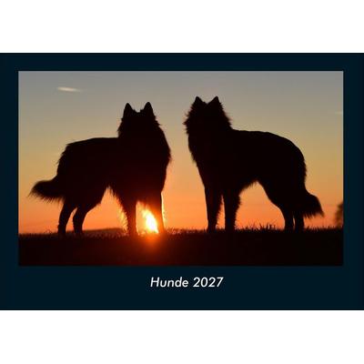 Hunde 2027 Fotokalender DIN A4