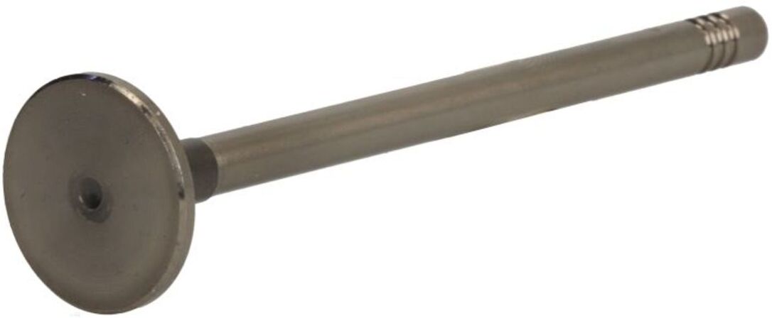 Einlassventil PARADOWSCY PMER120