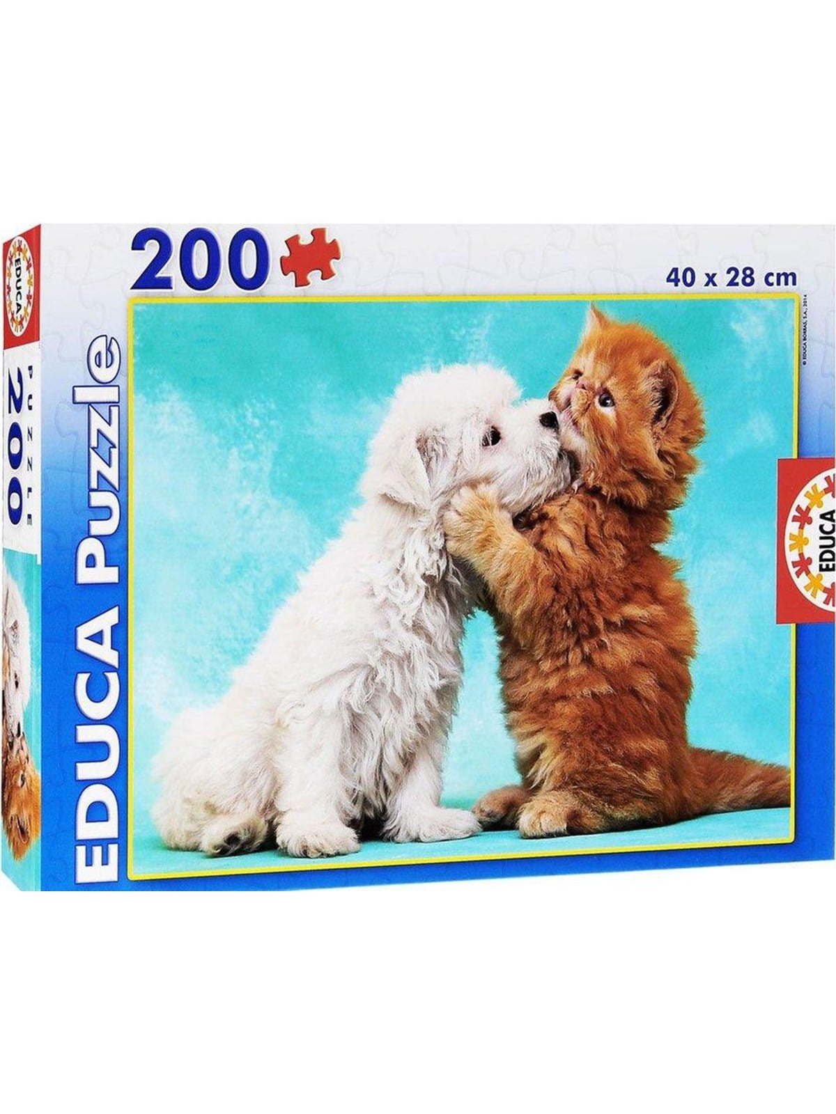 Educa 300 It's A Class Photo