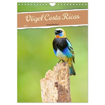 Vögel Costa Ricas (Wandkalender 2026 DIN A4 hoch), CALVENDO Monatskalender