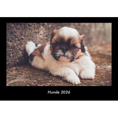 Hunde 2026 Fotokalender DIN A3