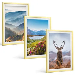 BILDER SET 3er Set - 40x60 cm Goldrahmen - Natur des Bergseehirsches