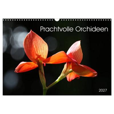 Prachtvolle Orchideen (Wandkalender 2027 DIN A3 quer), CALVENDO Monatskalender