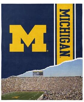 NCAA Big Ten Fanatic Microfiber Beach Towel