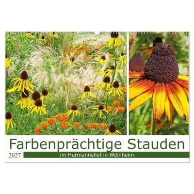 Farbenprächtige Stauden im Hermannshof in Weinheim (Wandkalender 2027 DIN A2 quer), CALVENDO Monatskalender