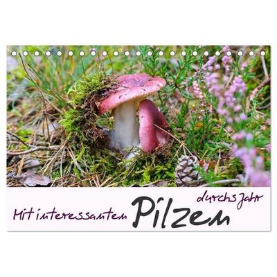 Mit interessanten Pilzen durchs Jahr (Tischkalender 2027 DIN A5 quer), CALVENDO Monatskalender
