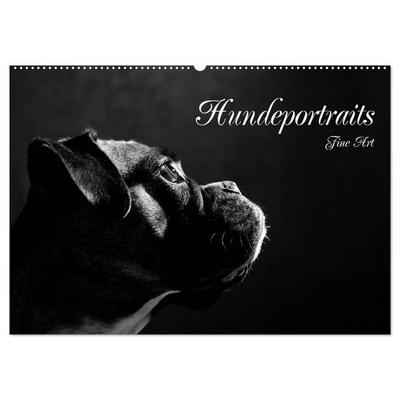Hundeportraits Fine Art (Wandkalender 2027 DIN A2 quer), CALVENDO Monatskalender