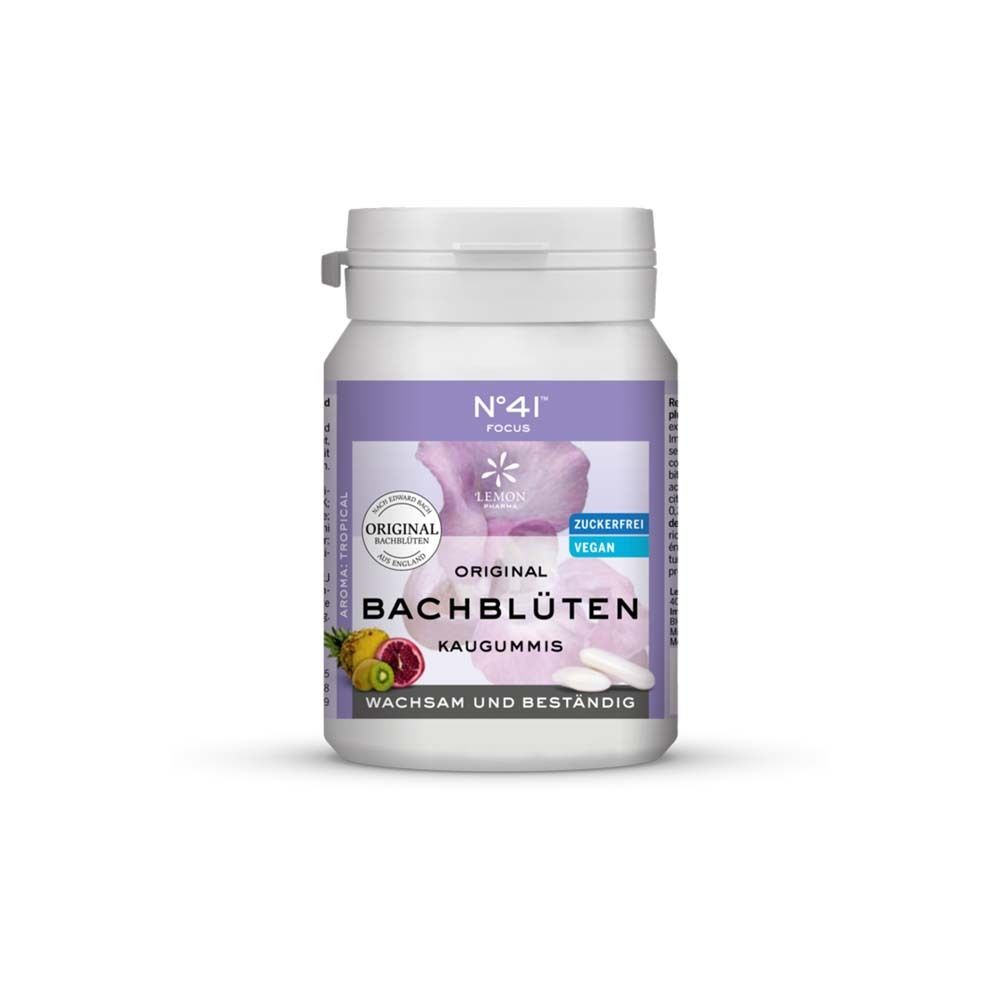 Konzentration Kaugummi nach Dr.Bach 40 St