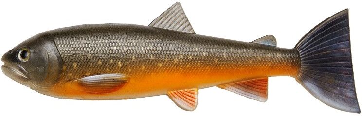 Pulzbait Skinz 15cm-Trout-Arctic Char
