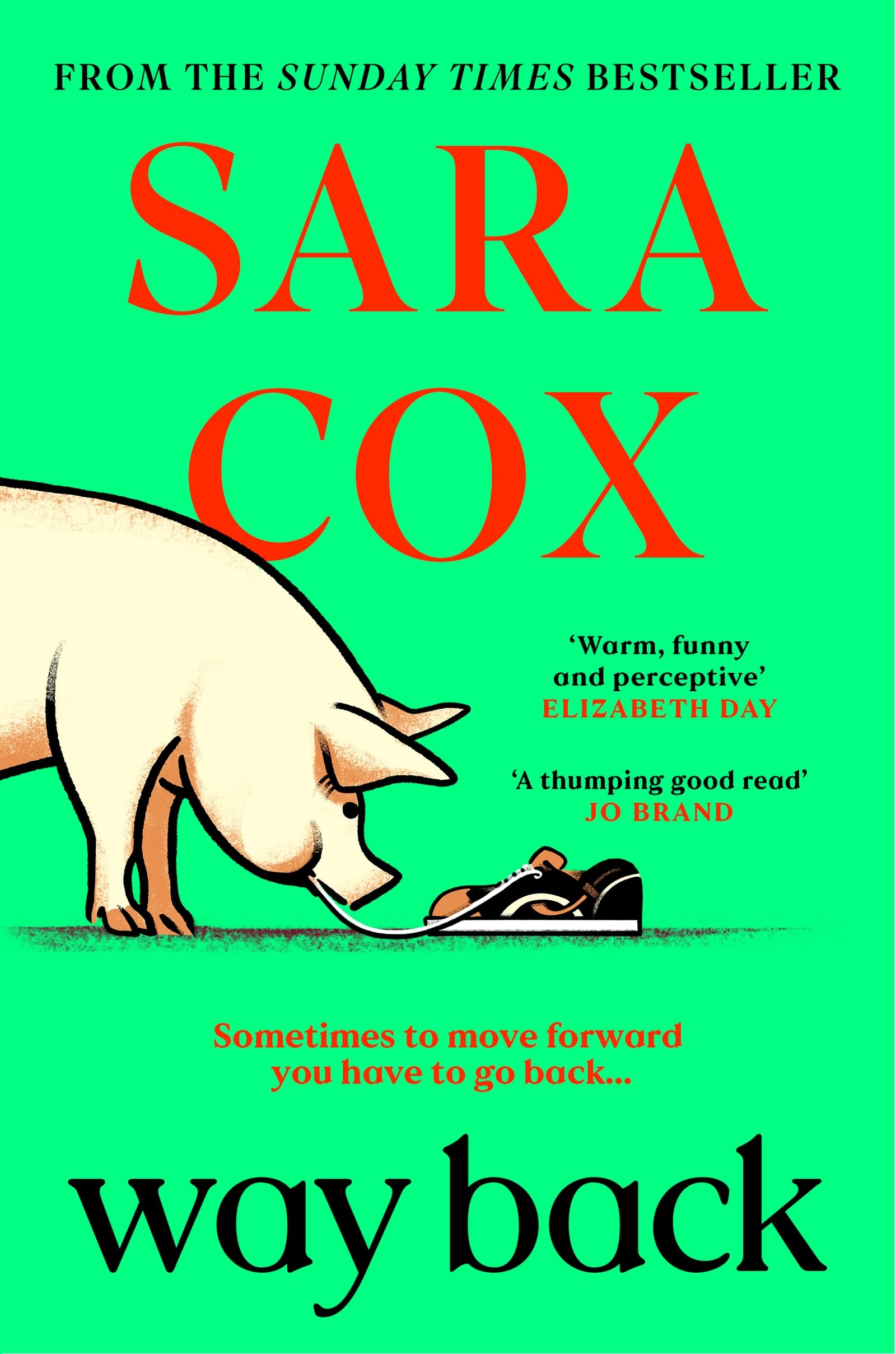 Sara Cox - Way Back: THE FUNNY AND ROMANTIC SUMMER READ FROM THE BESTSELLING AUTHOR OF THROWN - Preis vom 01.10.2026 17:08:56 h
