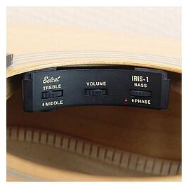 Belcat Iris-1 Sound Hole Preamp (54582129)