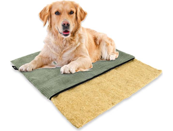 mümmi Hundebett HANF - geruchsbindend Allergikerfreundlich Hundekissen Cord-Bezug waschbar bei 60° Hundematte eckig rutschfest Hundedecke , Hundematratze Germany, Farbe:salbei, Größe:Größe 3