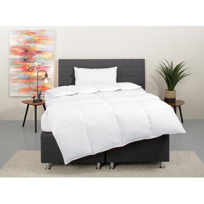 Daunenbettdecke + Kopfkissen OTTO HOME "Cyra Set, Bettdecke 135x200 & 155x220 cm mit Kissen 80x80 cm", weiß, B/L: 135cm x 200cm Anzahl Teile 1, B/L: 80cm x 80cm Anzahl Teile 1, Bezug: Baumwolle Füllung: Entendaune/-feder, extrawarm, Bettdecken...