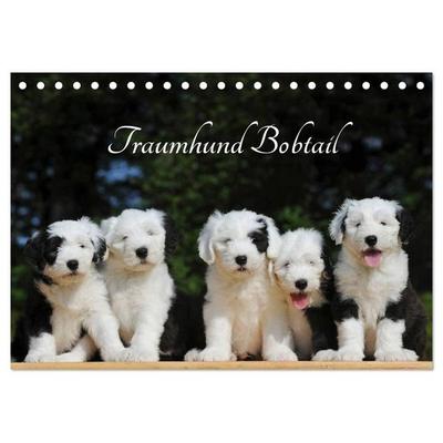 Traumhund Bobtail (Tischkalender 2027 DIN A5 quer), CALVENDO Monatskalender