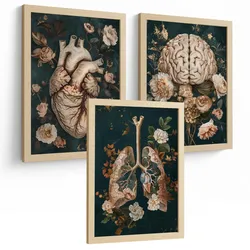 POSTER Set aus 3 Anatomie Drucke und Dekorative Wandbilder mit Herz Gehirn Lungen Atmungssystem Vintage Florales Grün Gold Design Größe Rahmenlos A4