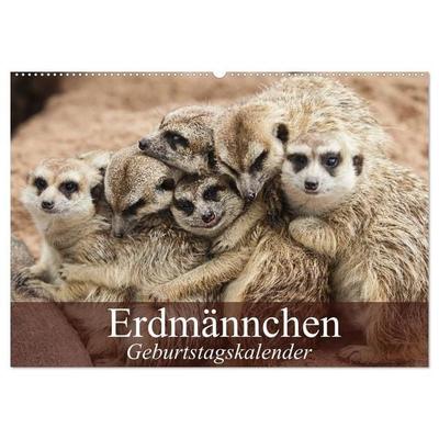 Erdmännchen (Wandkalender 2027 DIN A2 quer), CALVENDO Monatskalender
