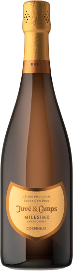 Juvé & Camps Milésimé 2021 - 75cl