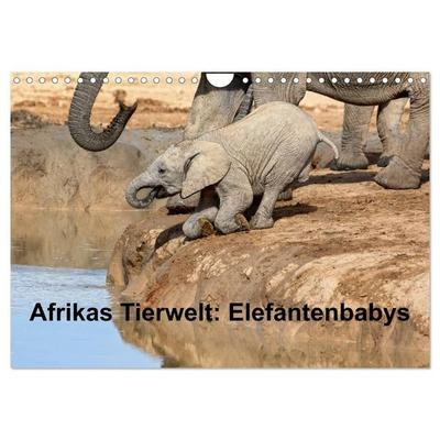 Afrikas Tierwelt: Elefantenbabys (Wandkalender 2027 DIN A4 quer), CALVENDO Monatskalender