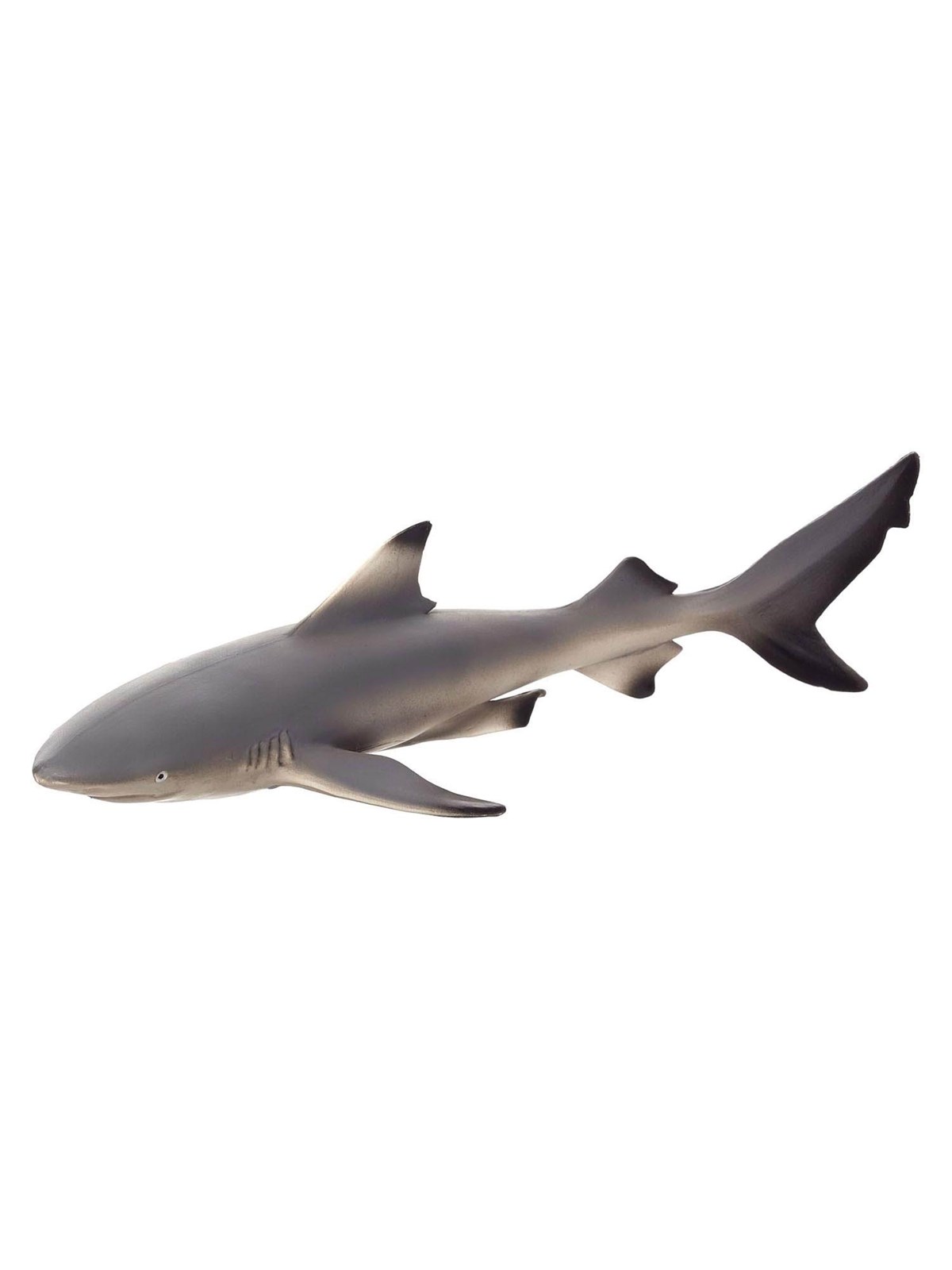 Mojo Sealife Blacktip Reef Shark