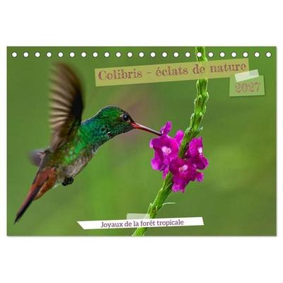 Colibris – éclats de nature (Calendrier de bureau 2027 DIN A5 vertical), CALVENDO calendrier mensuel