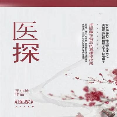 医探 - 王晓东；王小枪, Audio, 4099995973334