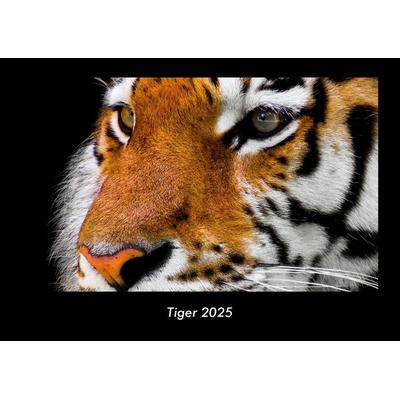 Tiger 2025 Fotokalender DIN A3