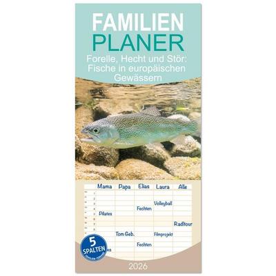 Familienplaner 2026 - Forelle, Hecht und Stör: Fische in europäischen Gewässern mit 5 Spalten (Wandkalender, 21 x 45 cm) CALVENDO