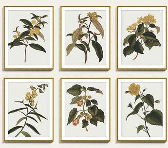 "Golden Blooms Art - Print IV, 41"" x 32"" - Ballard Designs"