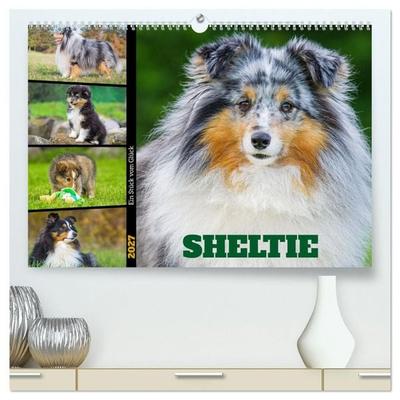 Sheltie - Ein Stück vom Glück (hochwertiger Premium Wandkalender 2027 DIN A2 quer), Kunstdruck in Hochglanz