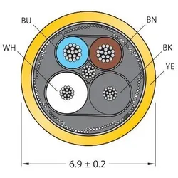 Turck BLident-Verbindungsleitung Cable-BLIDENT-100M