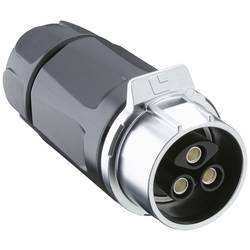 Lutronic 2840 02 T20CR A Rundsteckverbinder Buchse, gerade 1 St.