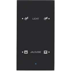 Berker 75142935 Glas-Sensor 2fach Komfort TS Sensor konfiguriert, schwarz