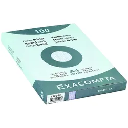 Exacompta, Karteikarten, Karteikarten (A4, 205 g/m2)