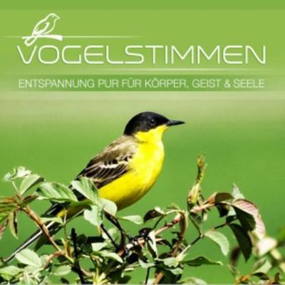 Vogelstimmen-Entspannung für - , CD, 9002986428183