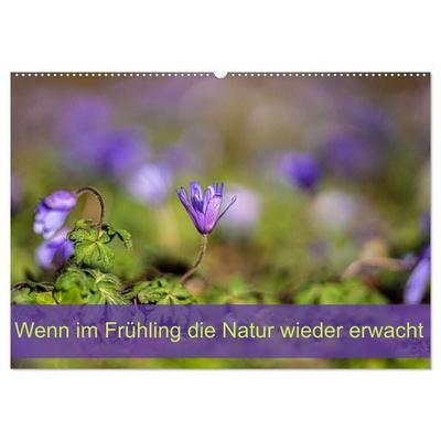 Wenn im Frühling die Natur wieder erwacht (Wandkalender 2026 DIN A2 quer), CALVENDO Monatskalender