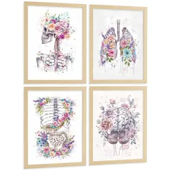 POSTER Set aus 4 Anatomie Mensch Drucke und Wandbilder mit Schädel Lungen Verdauungssystem und Gehirn Florales Aquarell Design Größe Rahmenlos A4