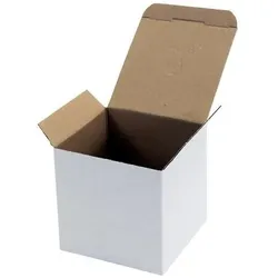Transpak, Versandkarton + Versandbox, Trans-pak Karton 1 wellig 118 x 118 x 115 mm (40 Stk.)