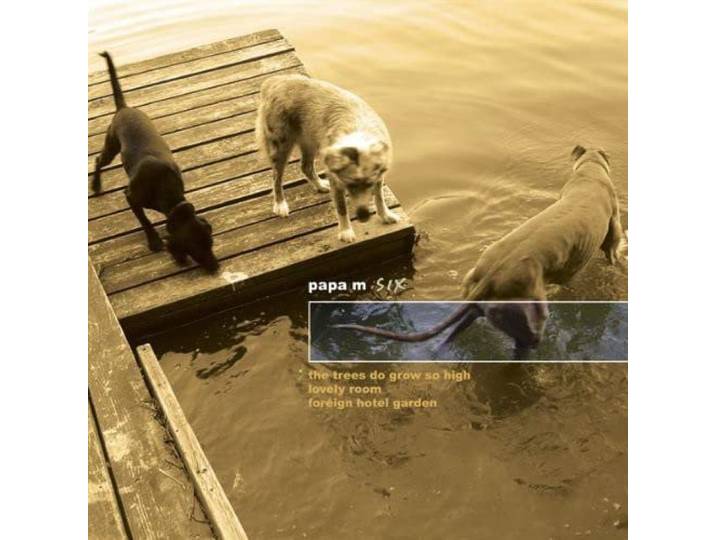 Single #6 -3tr-