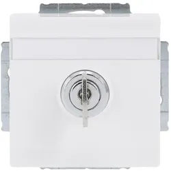 Busch-Jaeger 20EUKNBSL-84 SCHUKO® Steckdosen-Einsatz Safety+ mit Klappdeckel, Zylinderschloss/abschließbar, verschieden schli 2CKA002018A1563