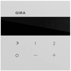 GIRA Unterputz-Radio Grau 232076 1 St.