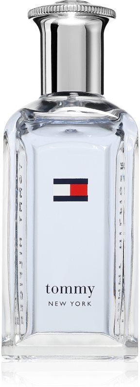 Tommy Hilfiger NEW YORK Eau de Toilette pour homme 50 ml