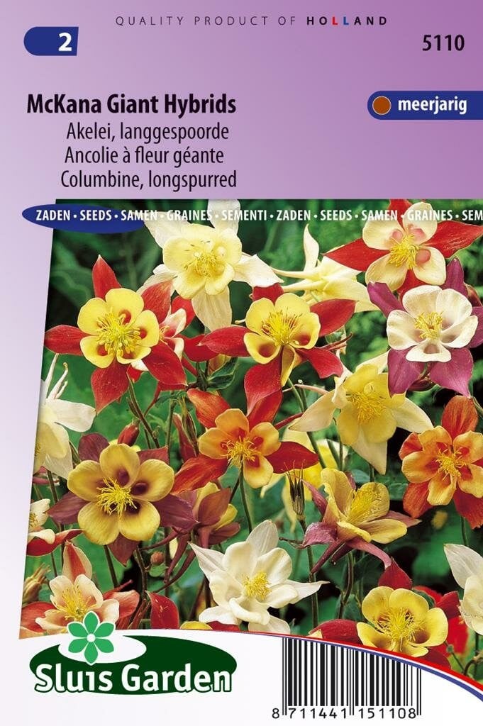 Sluis Garden Akelei McKana Giant Hybrids Zaden - Multicolleur